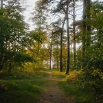 Cabin28 * Lubmin