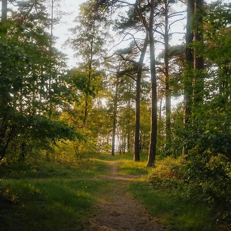 Cabin28 * Лубмин