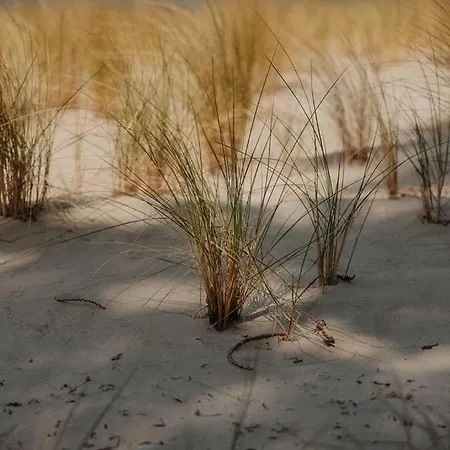 Cabin28 Apartament Lubmin