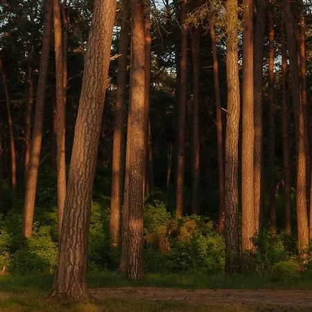 Cabin28 Апартаменты Лубмин